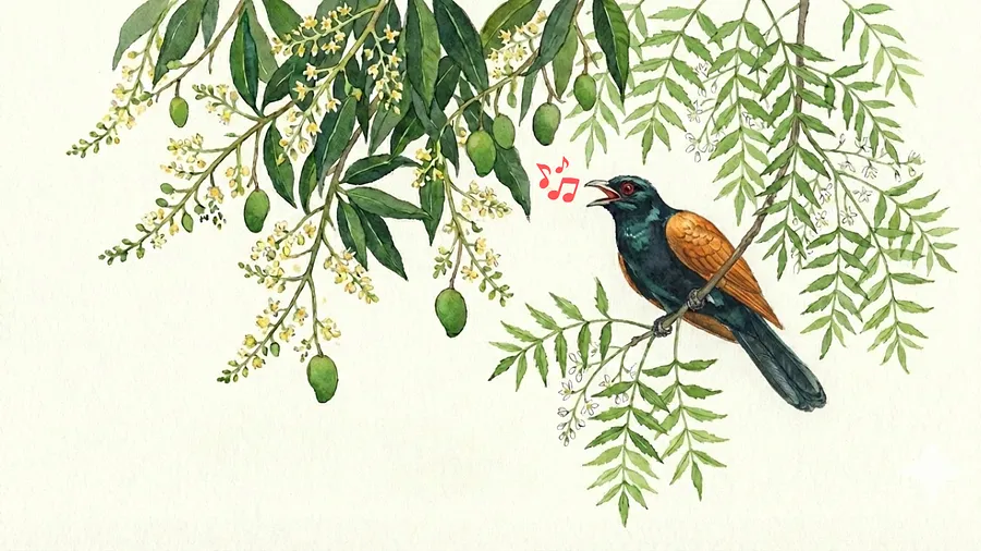 Ugādi: The Science and Ritual of New Year